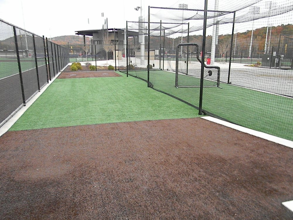 Naperville artificial turf batting cage